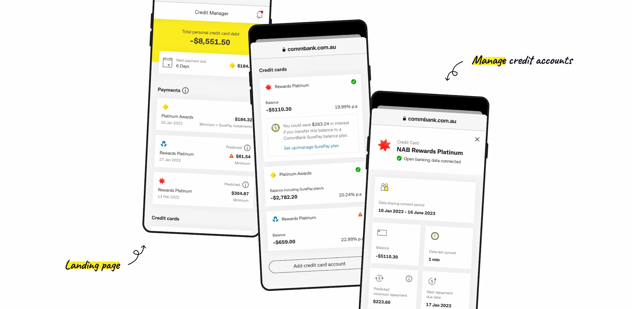 Credit Manager — image 2